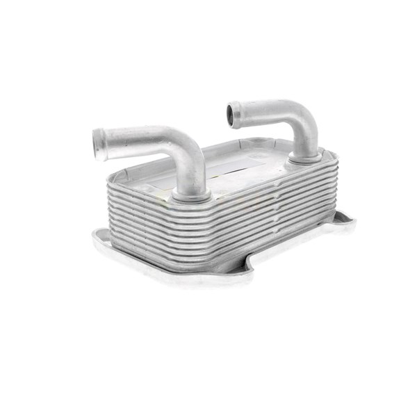 Oljekylare, motor
