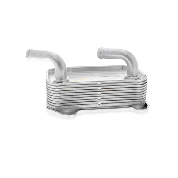 Oljekylare, motor
