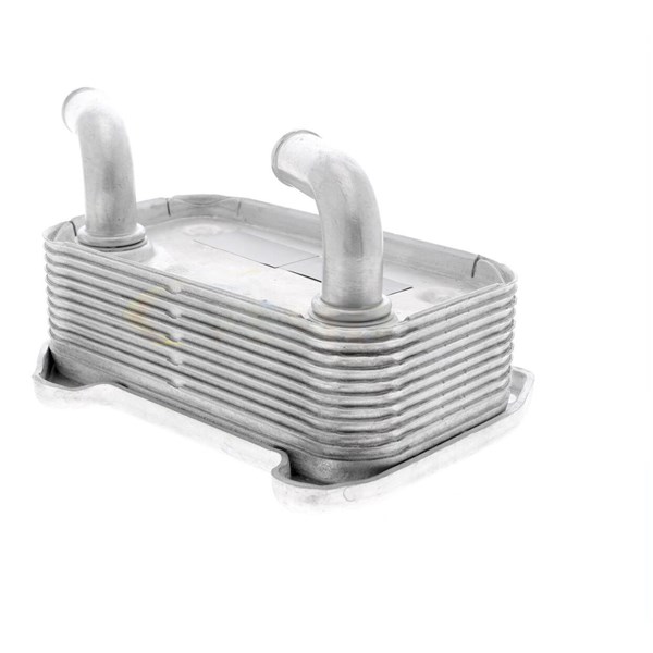 Oljekylare, motor