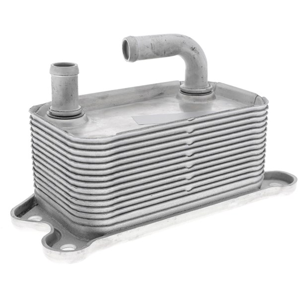 Oljekylare, motor