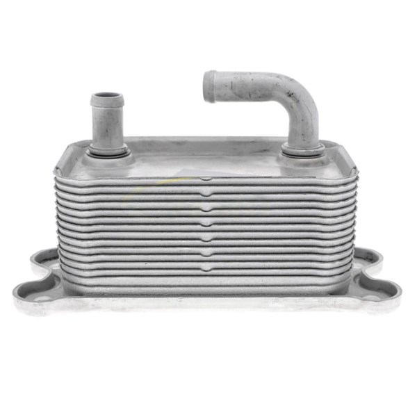 Oljekylare, motor