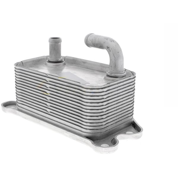 Oljekylare, motor