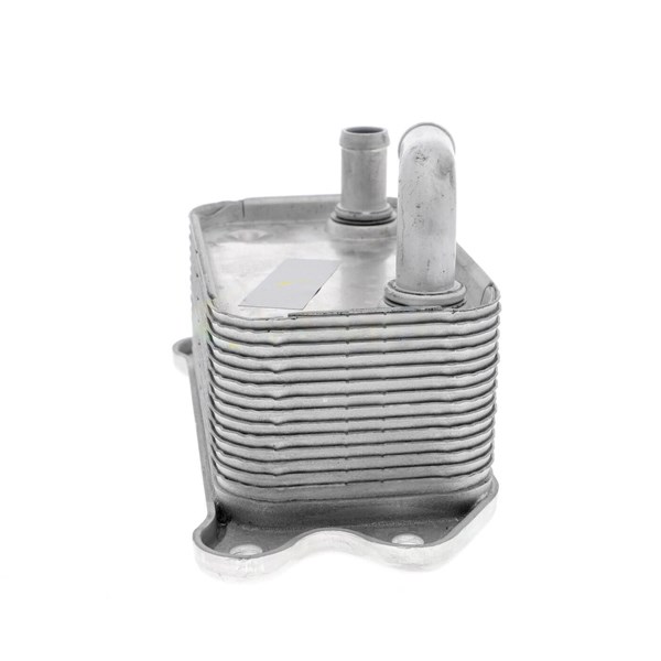 Oljekylare, motor