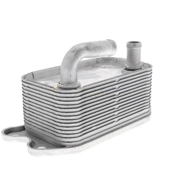 Oljekylare, motor