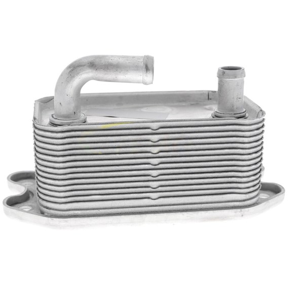 Oljekylare, motor