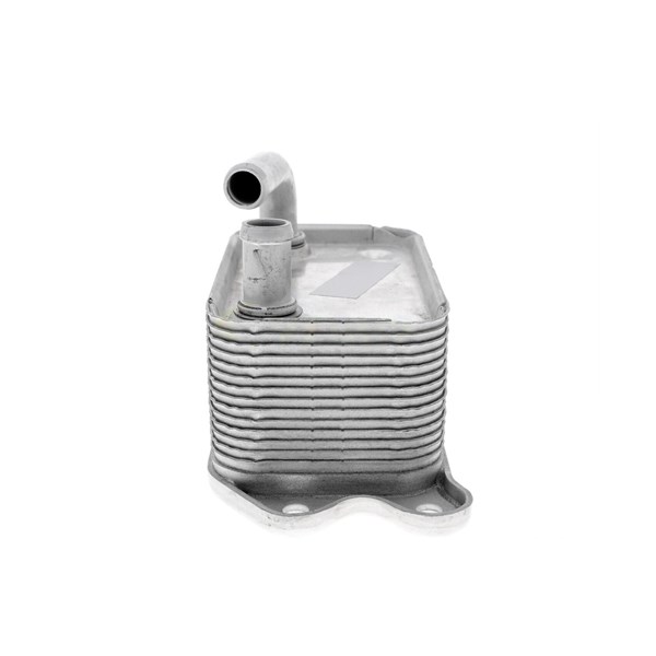 Oljekylare, motor