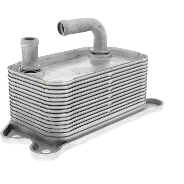 Oljekylare, motor