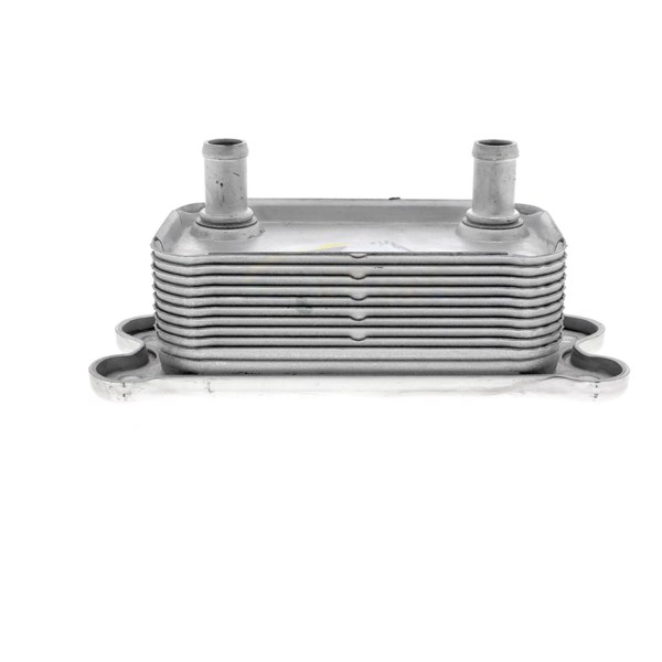 Oljekylare, motor