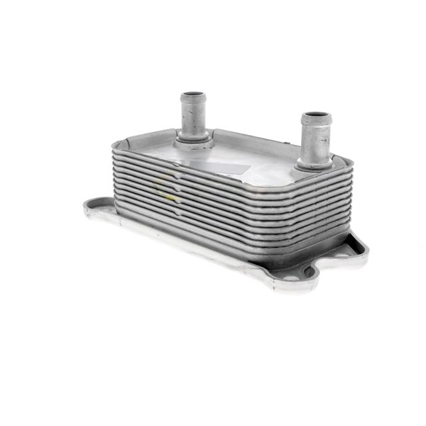 Oljekylare, motor