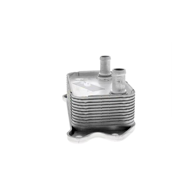 Oljekylare, motor