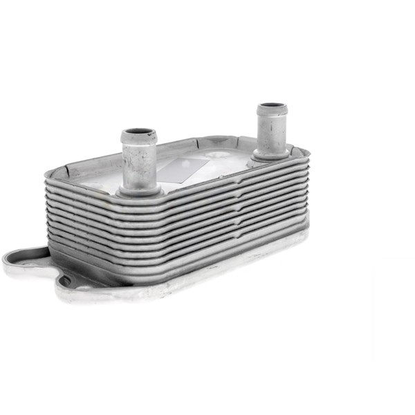 Oljekylare, motor