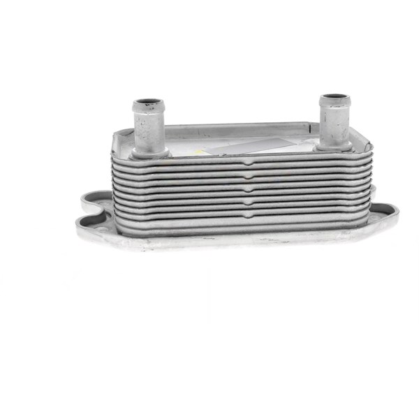 Oljekylare, motor