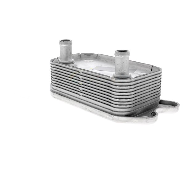 Oljekylare, motor