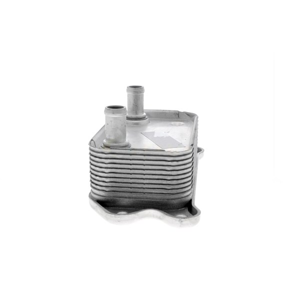 Oljekylare, motor