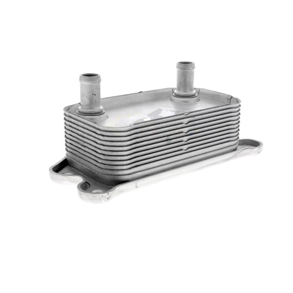 Oljekylare, motor