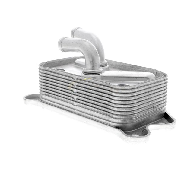 Oljekylare, motor