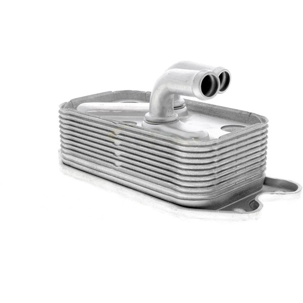 Oljekylare, motor