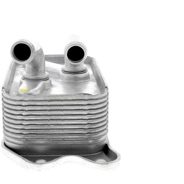 Oljekylare, motor