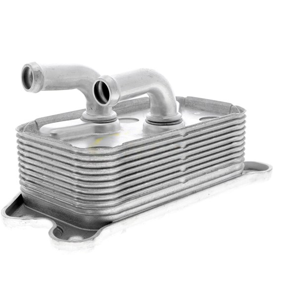 Oljekylare, motor
