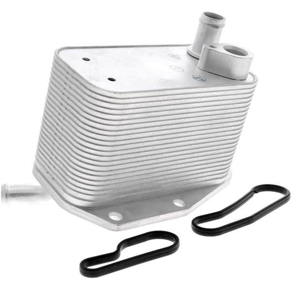 Oljekylare, motor