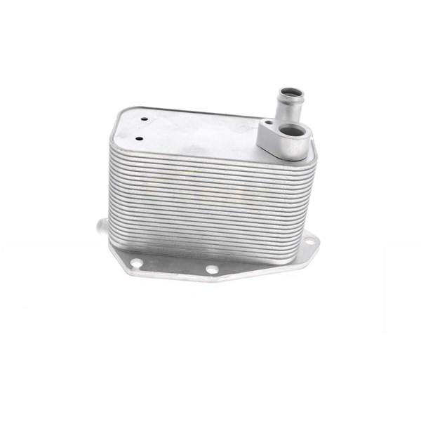 Oljekylare, motor