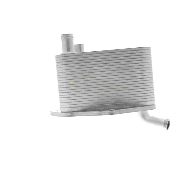 Oljekylare, motor
