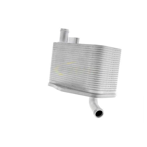 Oljekylare, motor