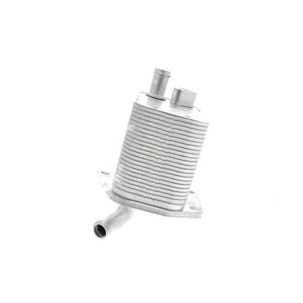 Oljekylare, motor