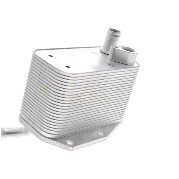 Oljekylare, motor