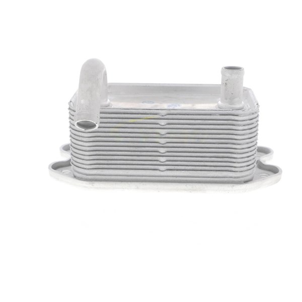 Oljekylare, motor