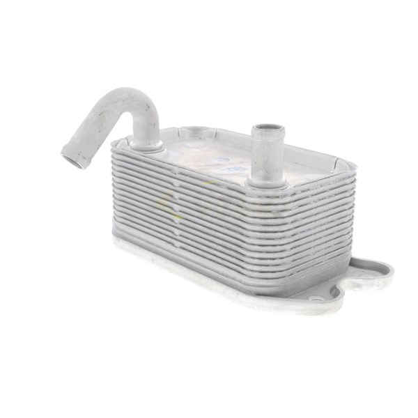 Oljekylare, motor