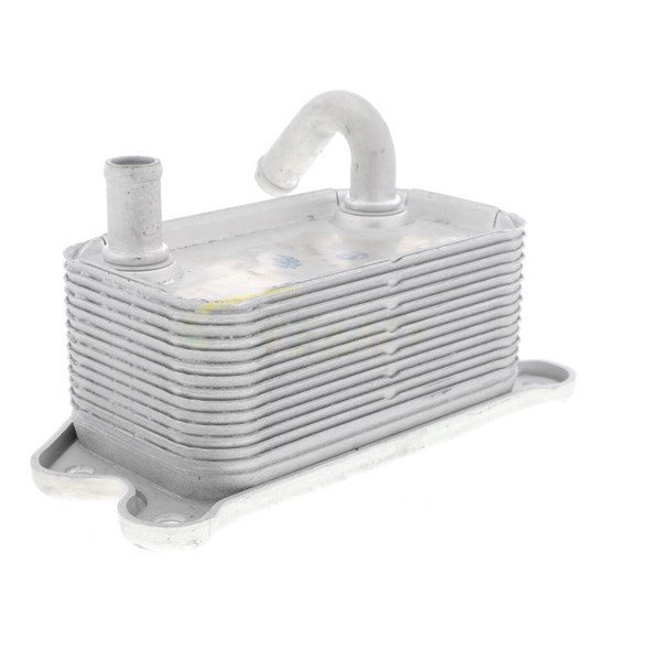 Oljekylare, motor