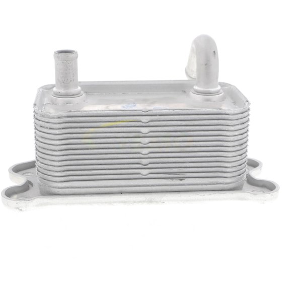 Oljekylare, motor