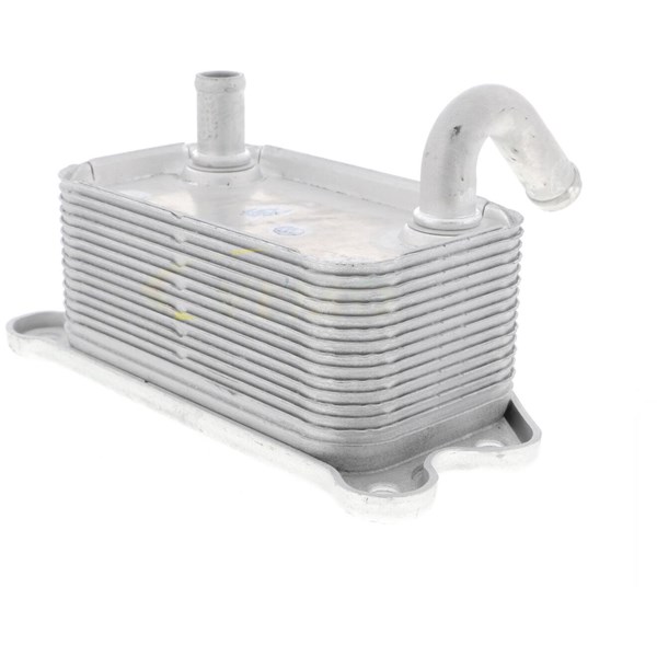 Oljekylare, motor