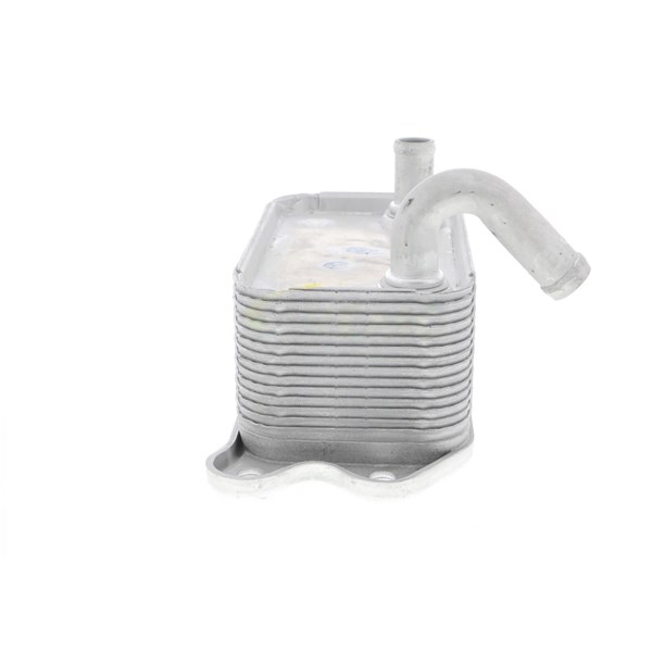 Oljekylare, motor