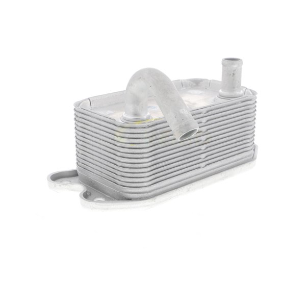 Oljekylare, motor