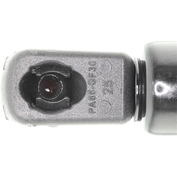 Gasfjäder, bagageutrymme, Tvåsidig Ackoja A52-0099 ACKOJA Gasfjäder, bagageutrymme, Tvåsidig Ackoja A52-0099 ACKOJA