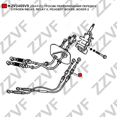 Vajer, manuell transmission Zzvf ZV2455V9 ZZVF