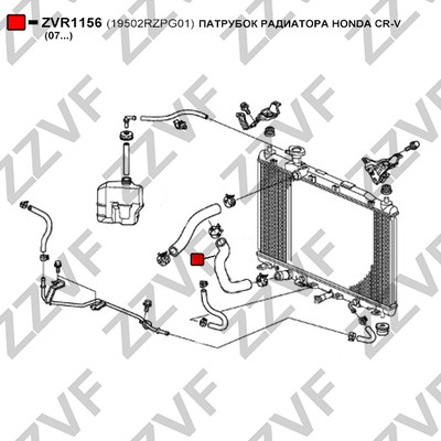 Kylarslang, Nedre Zzvf ZVR1156 ZZVF