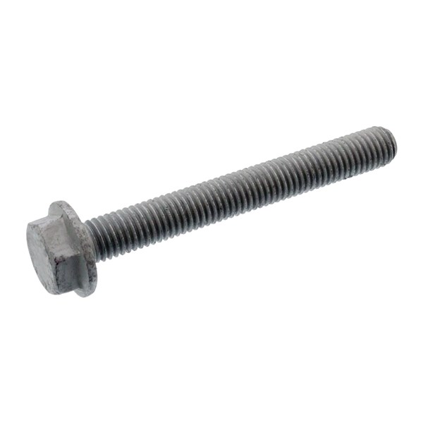 Skruv, tryckplatta Febi bilstein 107696 FEBI BILSTEIN