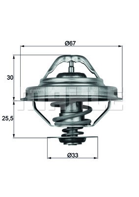 Termostat, kylvätska Mahle Behr TX 28 88D MAHLE