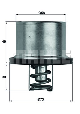 Termostat, kylvätska Mahle Behr TX 37 79 MAHLE