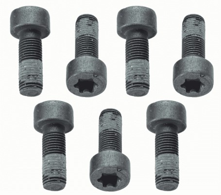 Skruvsats, svänghjul Sachs 1874 000 040 SACHS
