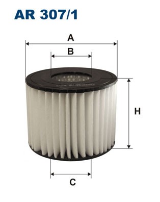 Luftfilter Filtron AR 307 FILTRON