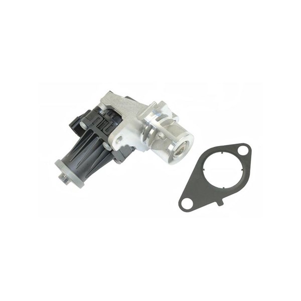 Egr-ventil 12V