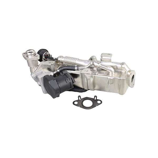 EGR-modul 12V
