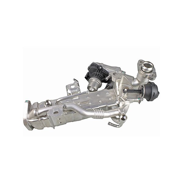 EGR-modul 12V