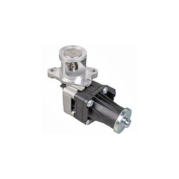 Egr-ventil 12V