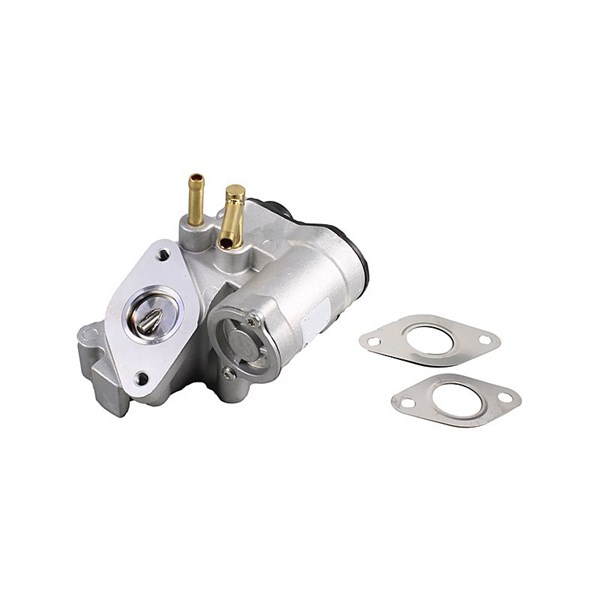 Egr-ventil 12V