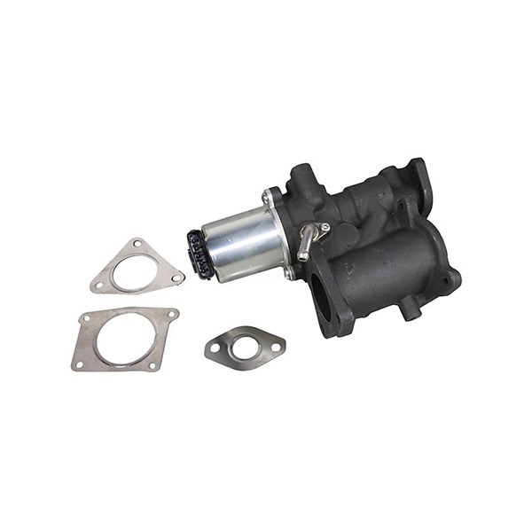 Egr-ventil 12V